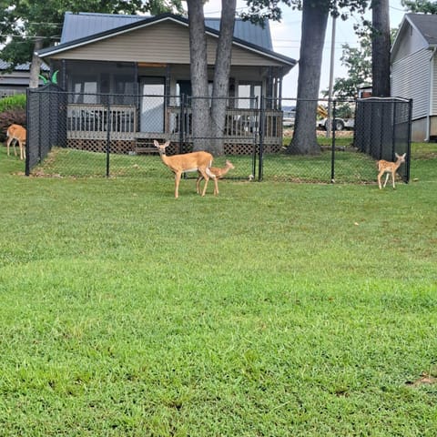 Property grounds