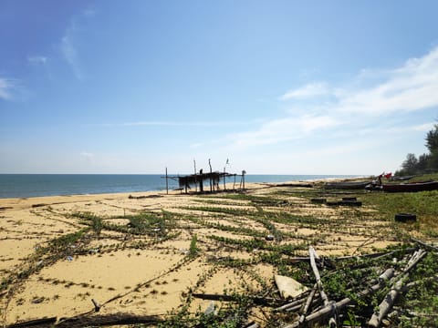 On the beach, white sand