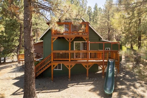 Welcome to Pine & Peak!