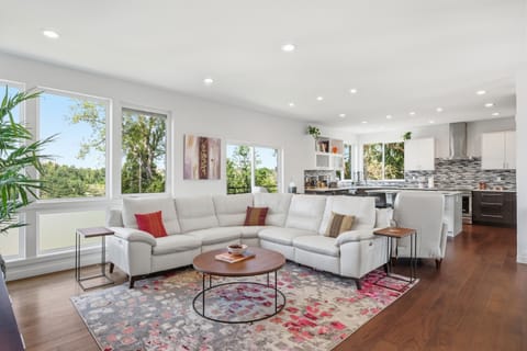 Bright open living room with treetop views and a modern chef’s kitchen