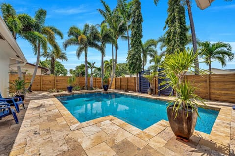 Stunning private pool with lush tropical palms Fort Lauderdale