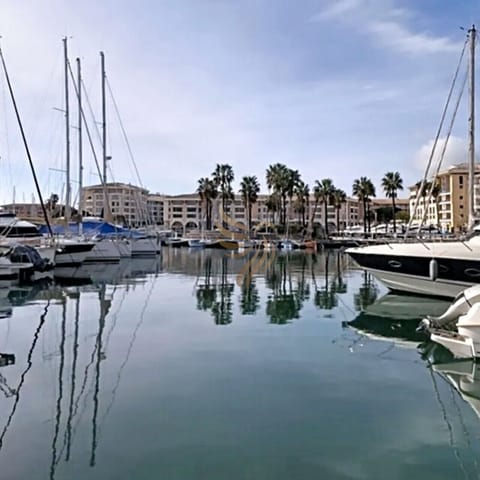 Un matin au port : les voiliers immobiles se reflètent dans l`eau, les palmiers bordent la promenade et les façades méditerranéennes encadrent la scène, l`endroit parfait pour commencer la journée en douceur.
