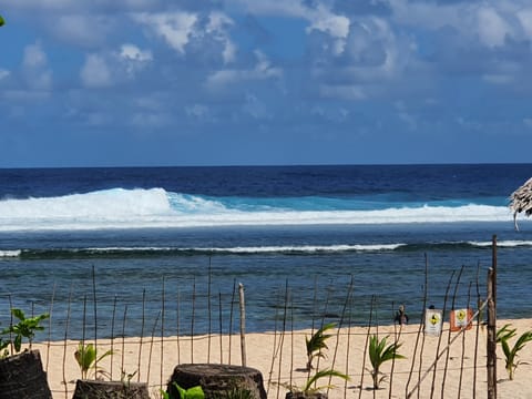 Beach nearby, white sand