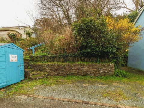 Wall, Green, Wood, Shrub, Plant Community, Groundcover, Garden, Backyard, Fence