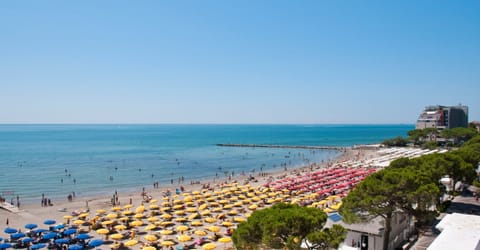 Apartment, 1 Bedroom, Terrace, City View | Beach