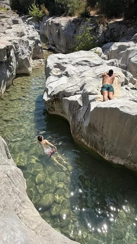 Natural pool