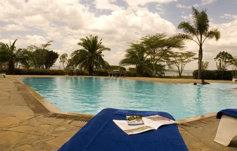Outdoor pool, sun loungers