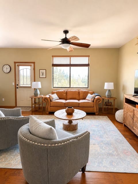 Bright cozy living room with forest views and comfortable seating