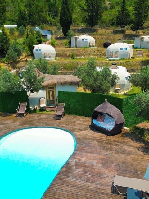 Seasonal outdoor pool, open 8:00 AM to 7:00 PM, pool umbrellas
