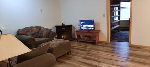 Natural light brightens the living room’s wide plank wood floor, with a small TV and electric fireplace in view.