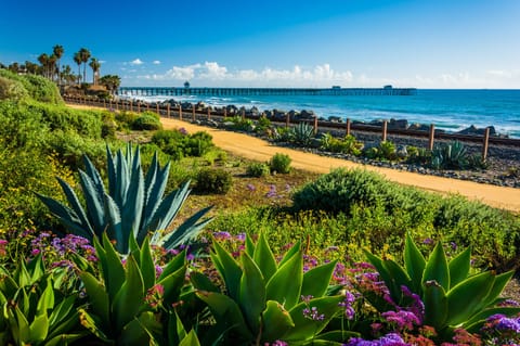 Beach nearby, white sand, free beach shuttle