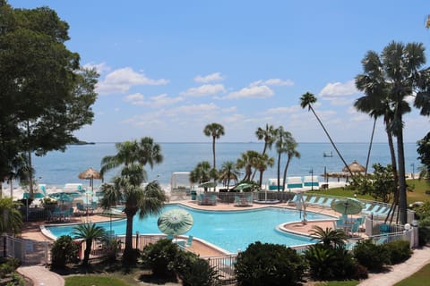 Soak up tropical vibes overlooking the pool and bay.