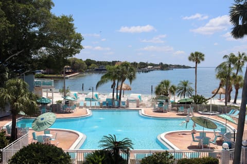 Float lazily while the calm waterfront shimmers beyond.