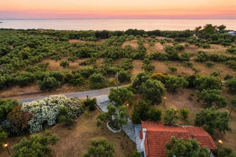 Aerial View of the Estate Surrounded by Olive Groves and Sea Views