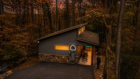 Cabin14