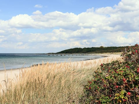 House | Beach
