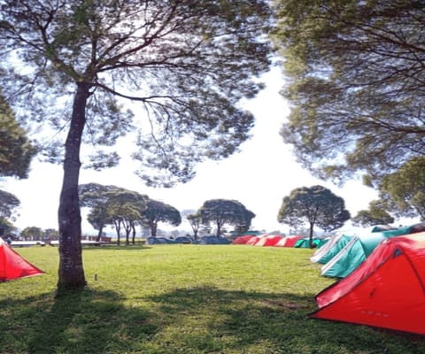 Tent | Property grounds