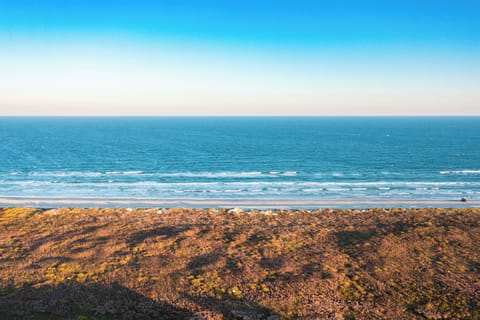 Beautiful North Padre Island Beach