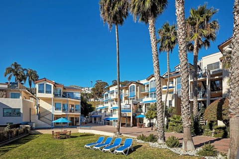 Lounge under swaying palms in a sunny, resort courtyard.