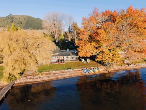 Autumn lakefront with Mokoia Island views