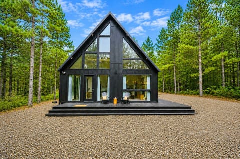 Bold black exterior, soaring glass walls, and towering pines all around — a cabin that makes a statement before you even step inside.