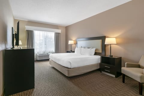 Standard Room, 1 King Bed, Non Smoking | Hypo-allergenic bedding, desk, laptop workspace, blackout drapes