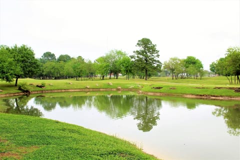 Tranquil pond with rocky banks and tree-lined green surroundings near the property
