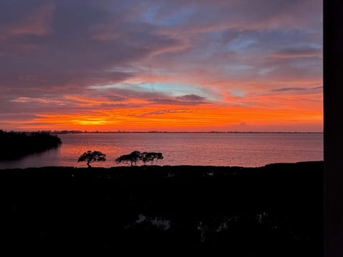 Bradenton Vacation Rental | 3BR | 3BA | 1,664 Sq Ft