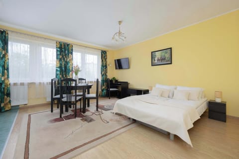 Living area with a double sofa bed, dining table and access to the balcony.