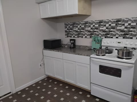 Deluxe Apartment | Private kitchen | Coffee/tea maker, full-size fridge, microwave, stovetop