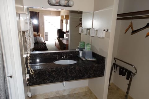 Hair dryer, soap, shampoo, toilet paper