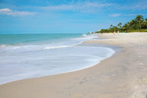 Beach visible, beach, summer, outdoor, body of water