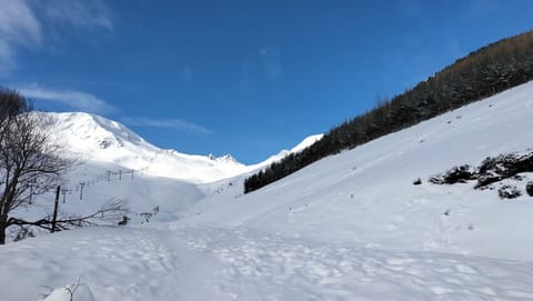 Snow and ski sports