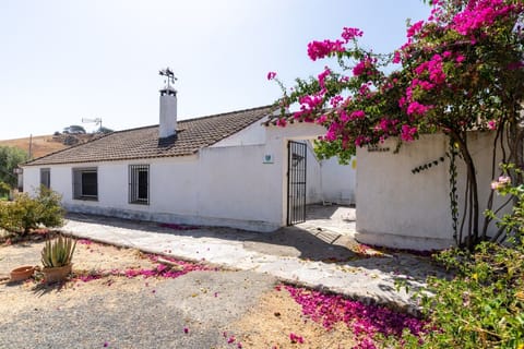 Exterior vallado de la propiedad