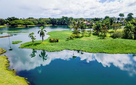 Behind HLC, Wailoa River