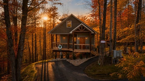 Cabin 111