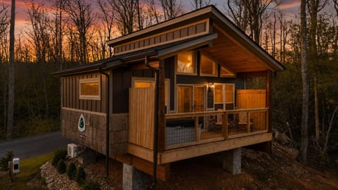 Cabin10