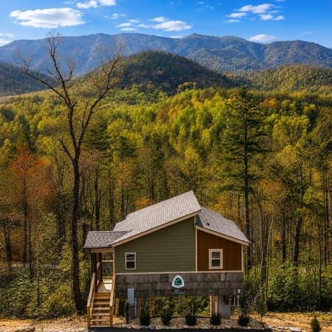 Cabin 3