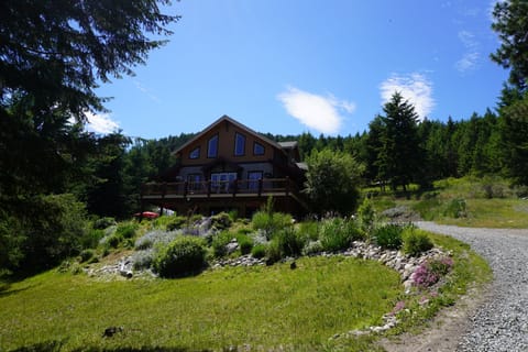 House + landscaping 