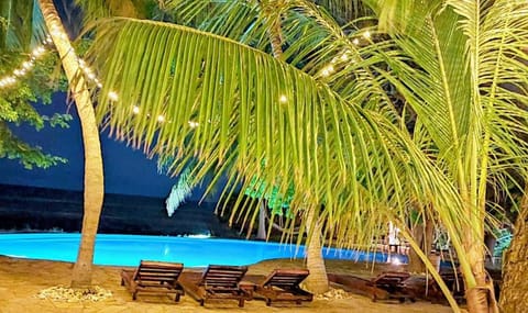 Outdoor pool, sun loungers