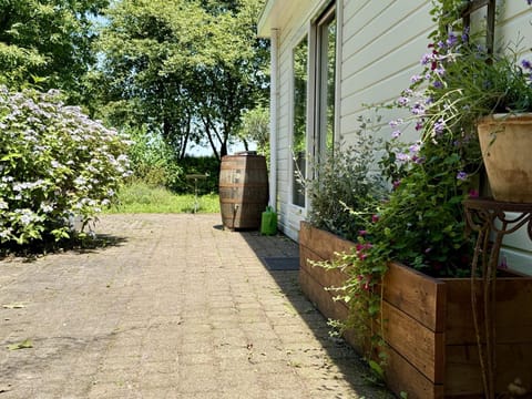 Garden [summer]