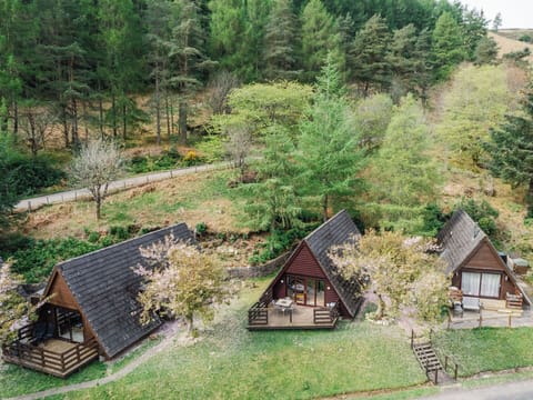 Rural Area, Cottage, Garden, Log Cabin, Hut, Hardwood, Yard, Park, Landscaping, Garden Buildings
