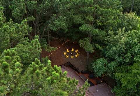 Surrounded by towering pines, this aerial view gives you a glimpse of the private setting where you can truly unplug and enjoy the beauty of Broken Bow.