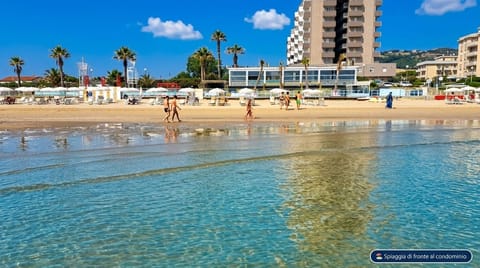 On the beach, sun loungers, beach umbrellas, beach bar