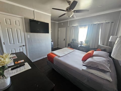 Luxury Single Room | Desk, laptop workspace, WiFi (free)