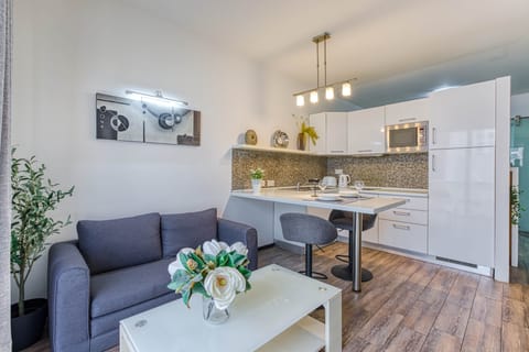 Bright open-plan studio with fully equipped kitchenette and dining space