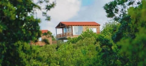 Family Room, Balcony, Mountain View | Exterior