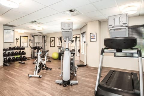 Modern fitness center floor with strength and cardio machines.