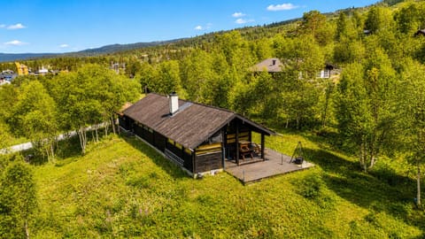 Beautiful cabin surrounded by nature
