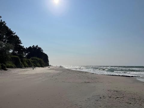 On the beach